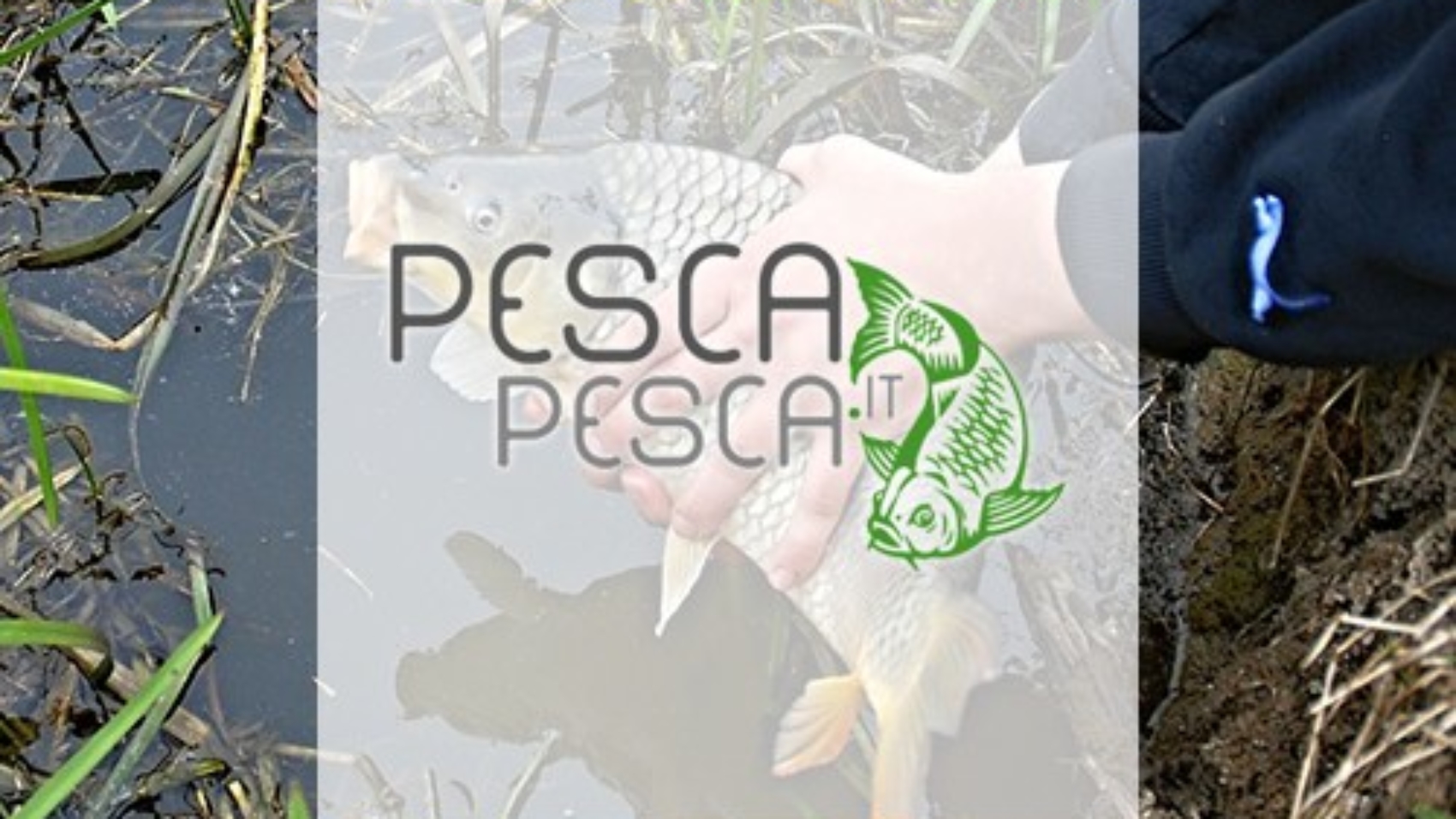 Pescapesca.it