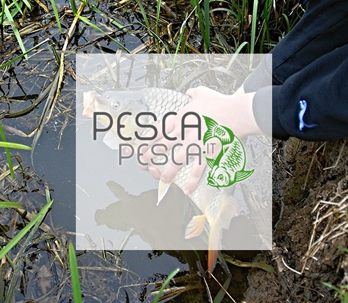 Pescapesca.it